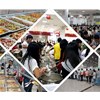 合肥飯?zhí)贸邪膬?yōu)勢(shì)